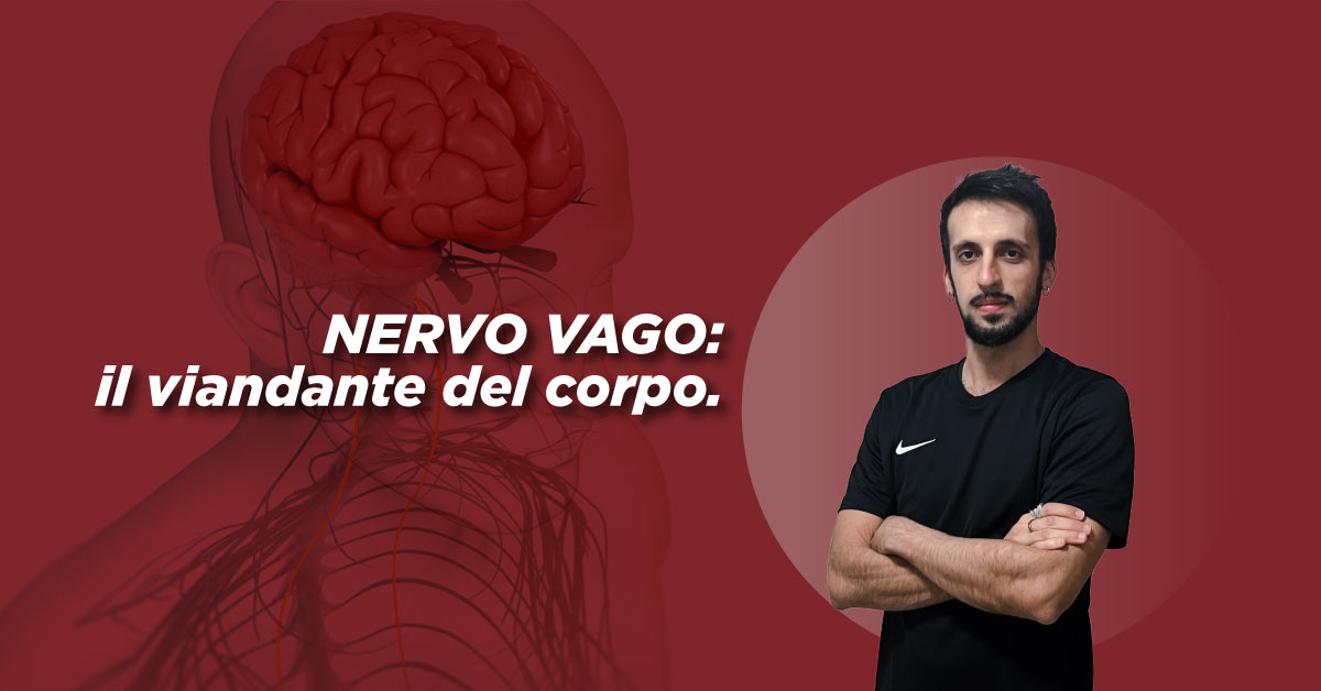 Nervo Vago: il viandante del corpo