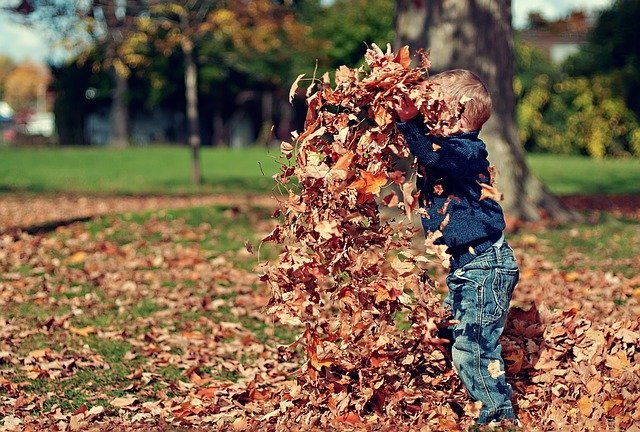 bambini natura foglie