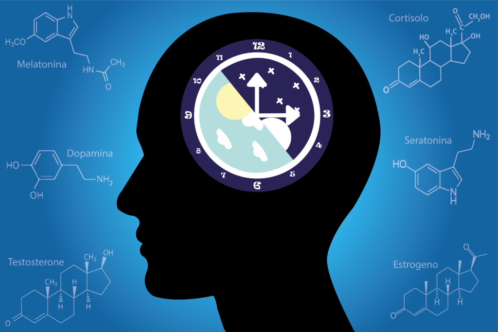 cotrtisolo melatonina ritmi circadiani sonno